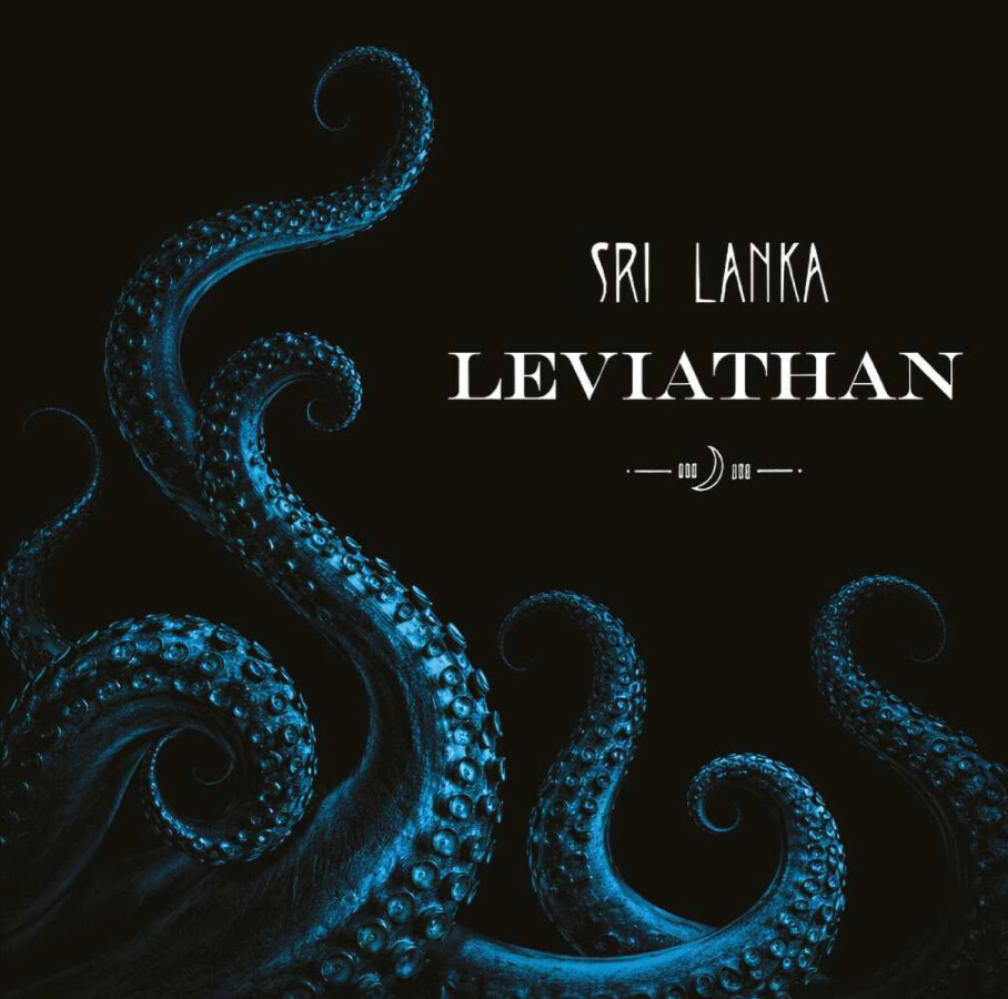 Leviathan - elasticStage