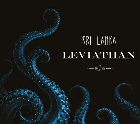 Leviathan - elasticStage